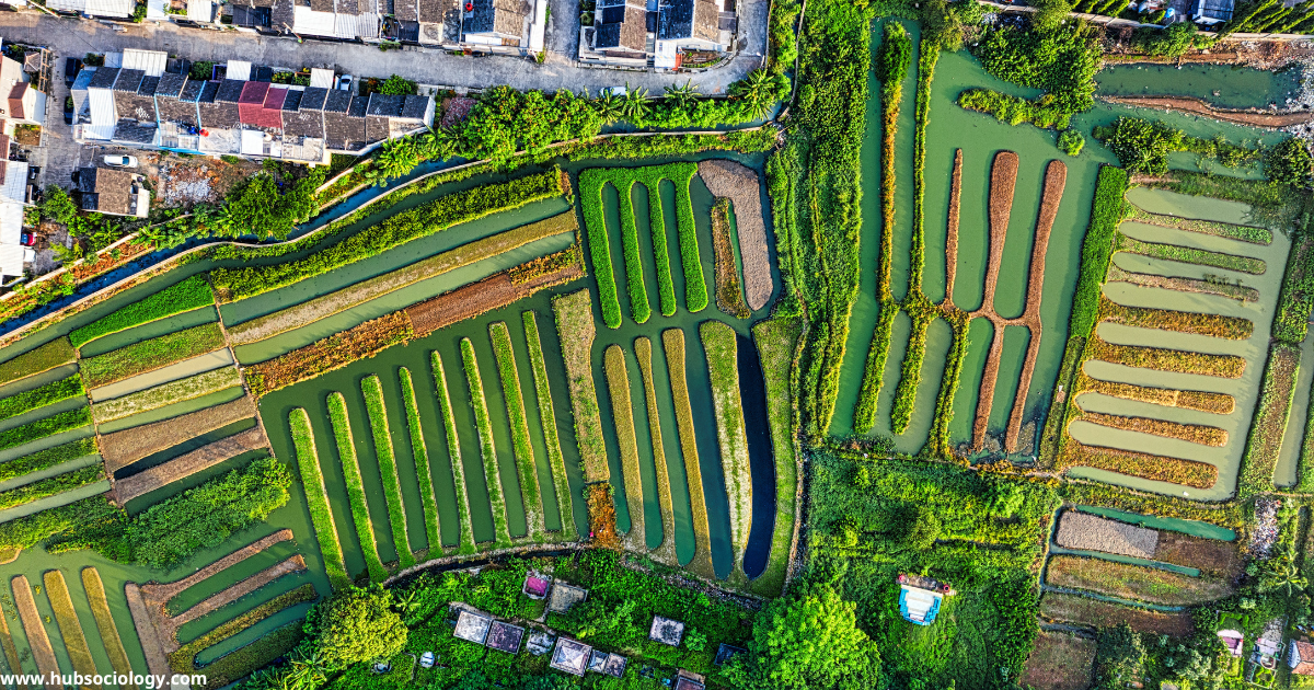 Sustainable Development