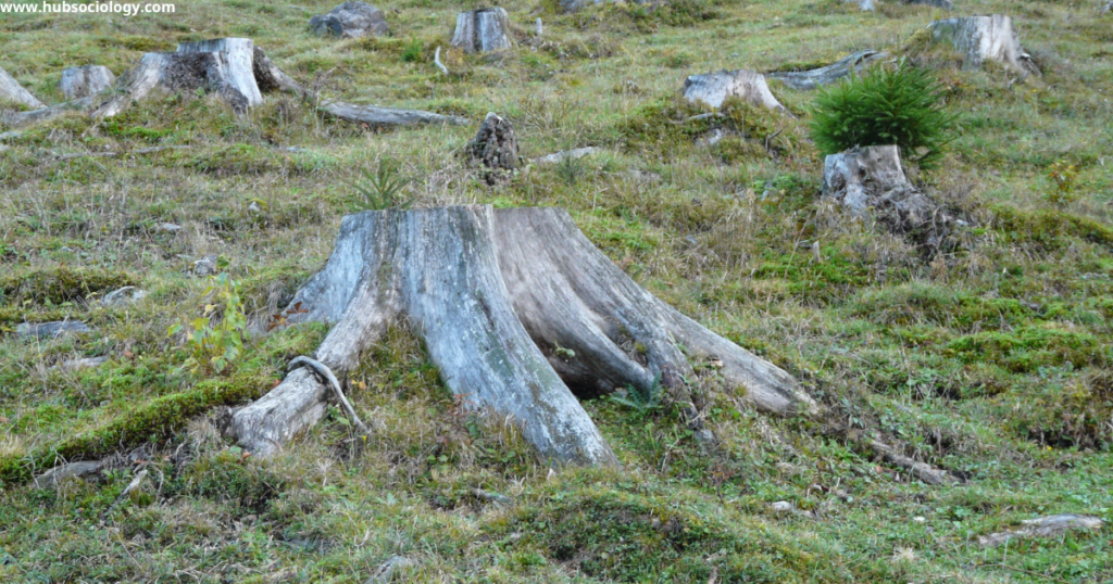 The Sociology of Environment and Climate Change in Australia