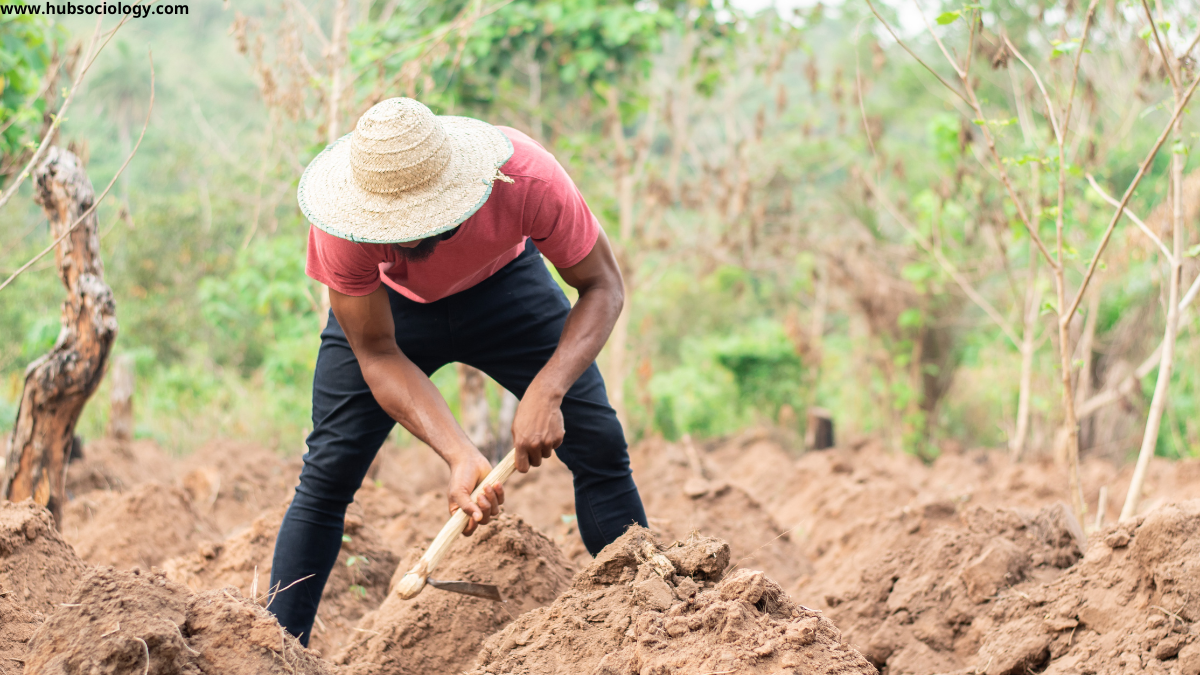How MGNREGA is Changing the Rural Social Structure A Sociological Perspective