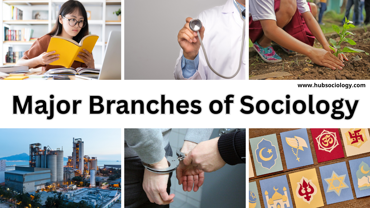 Major Branches of Sociology