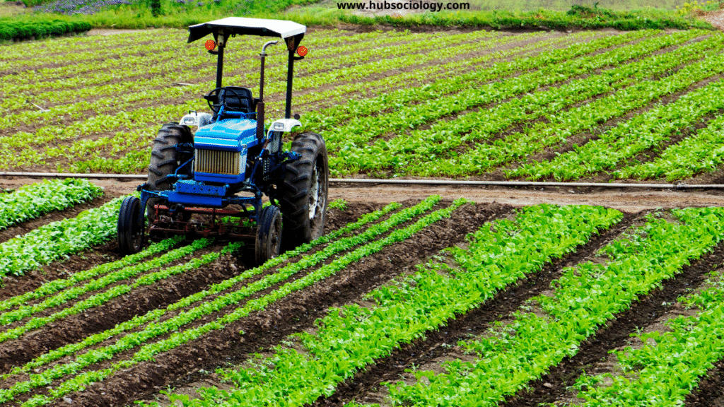 Green Revolution and Changes in Indian Villages: A Sociological Perspective