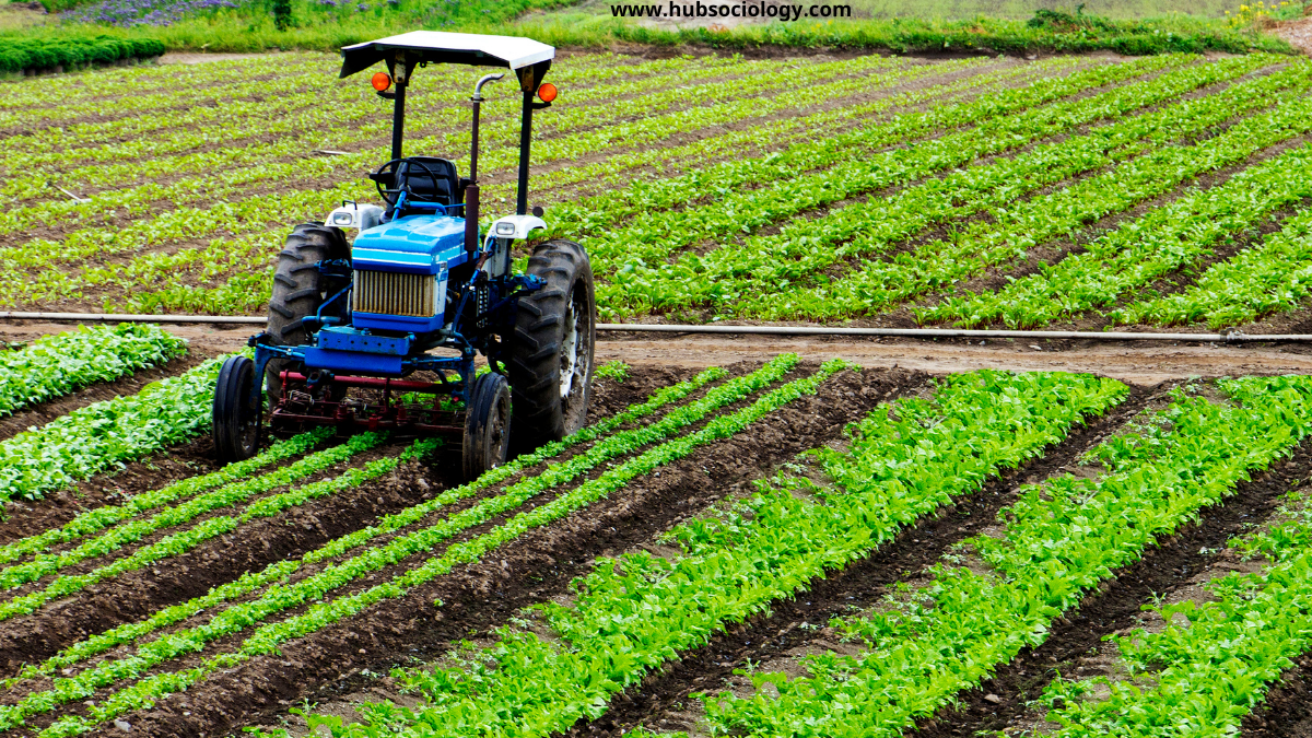 Green Revolution and Changes in Indian Villages: A Sociological Perspective