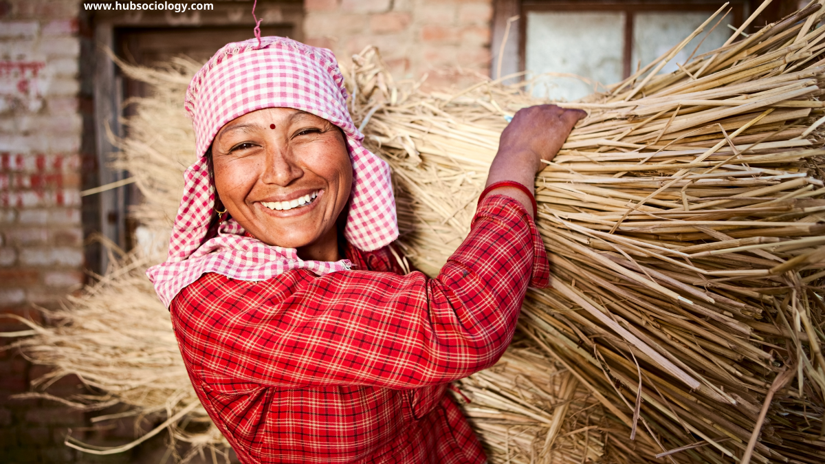 Unemployment and Indebtedness of Rural Society: A Sociological Perspective