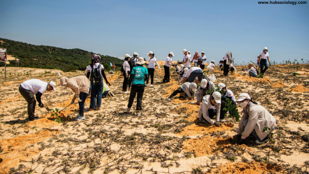 NGOs and Development: A Sociological Perspective