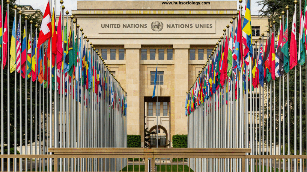 Role of the United Nations in the Field of Population: A Sociological Perspective
