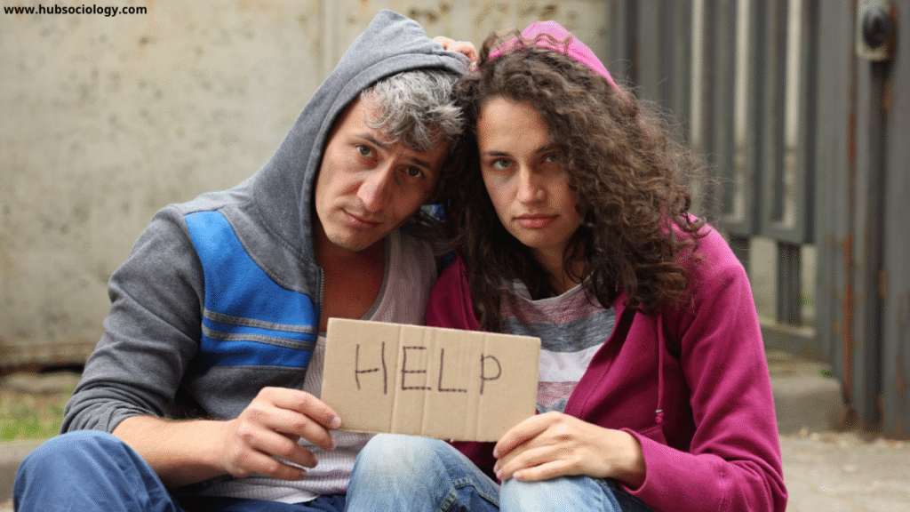 Urban Sociology in North America: Cities, Suburbs, and Inequality