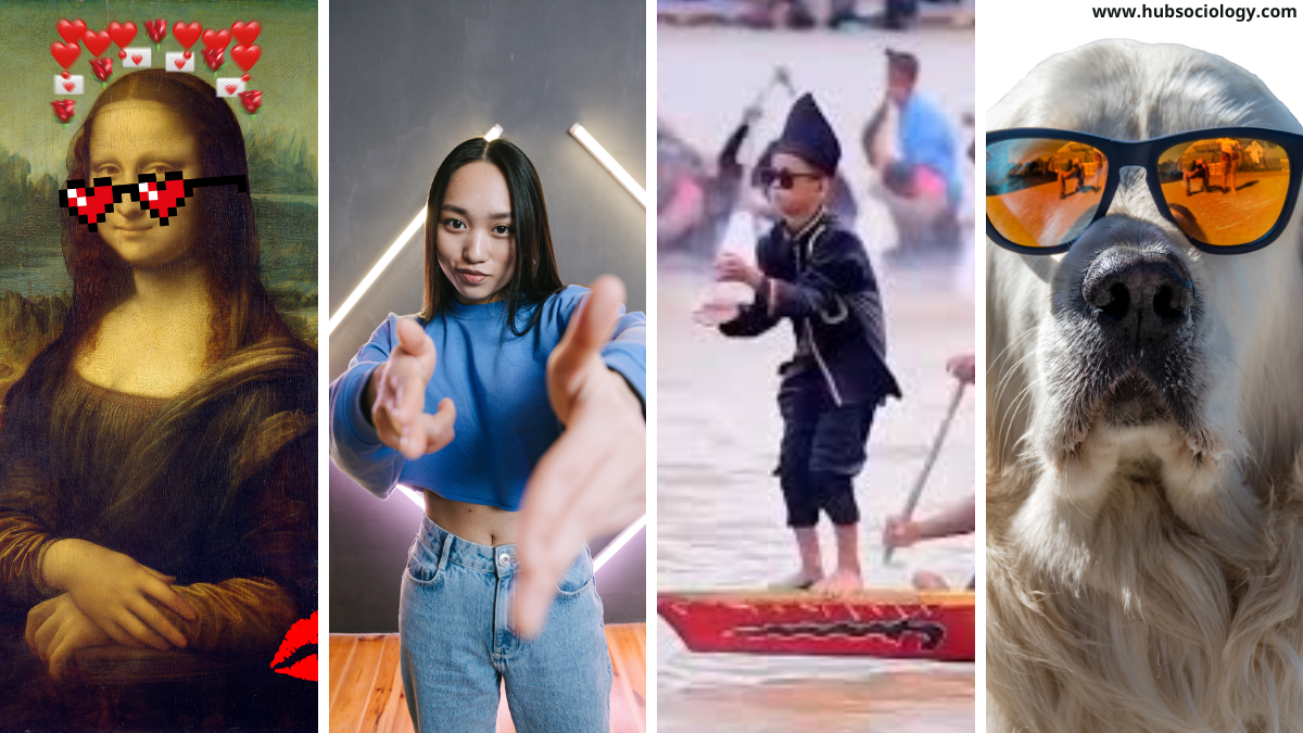 Sociology of Memes: Humour, Resistance and Identity