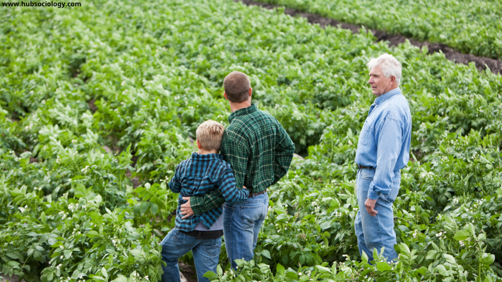 Changing Social Structure of Rural America: A Sociological Analysis