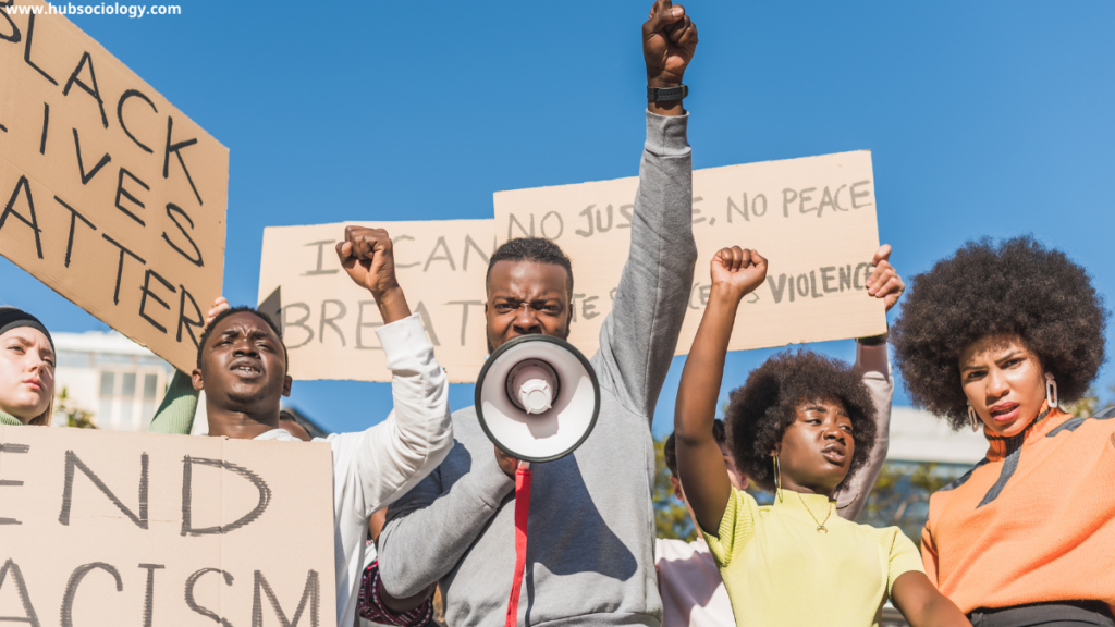 Sociology of Black Lives Matter Movement in America