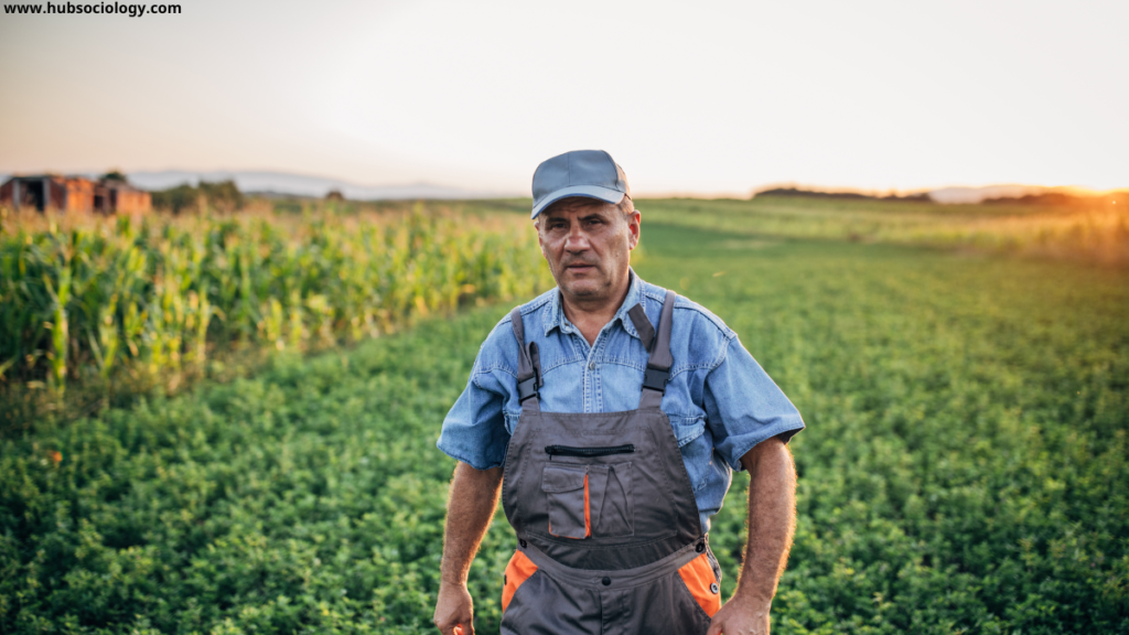 Rural Sociology of America