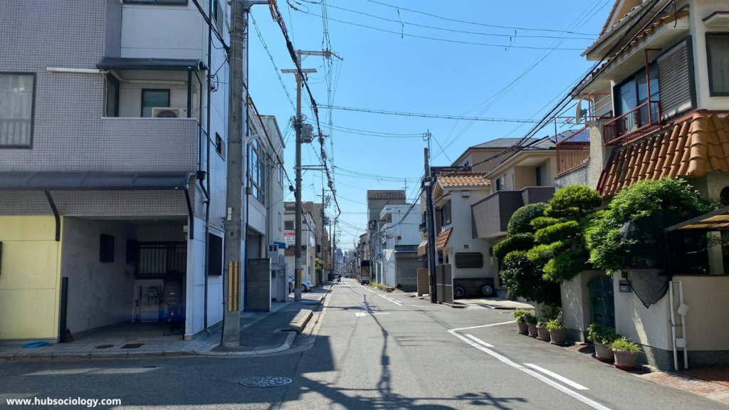 Gentrification and Urban Inequality in American Cities: A Sociological Perspective